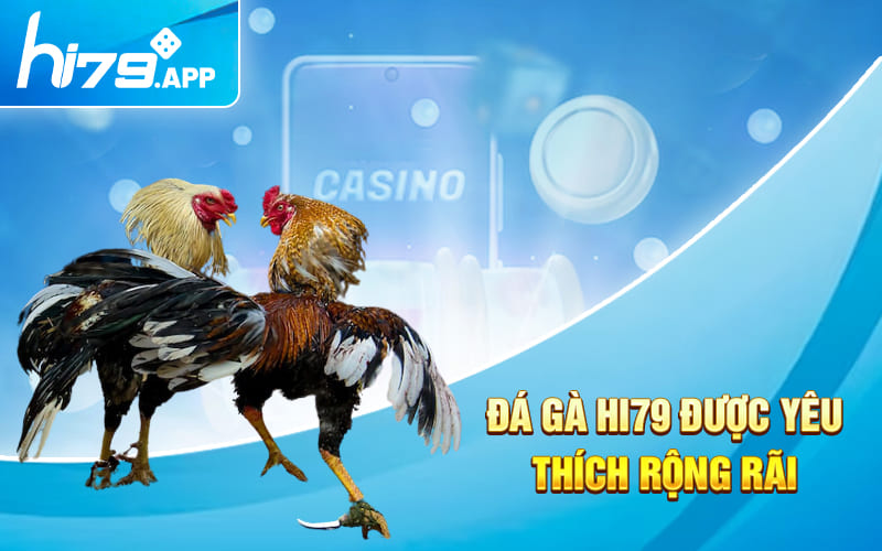 Đá Gà Hi79 - Sảnh Cược Cực Khét Với Tỷ Lệ Cược Siêu Cao 2 Hình thức đá gà HI79 được yêu thích rộng rãi