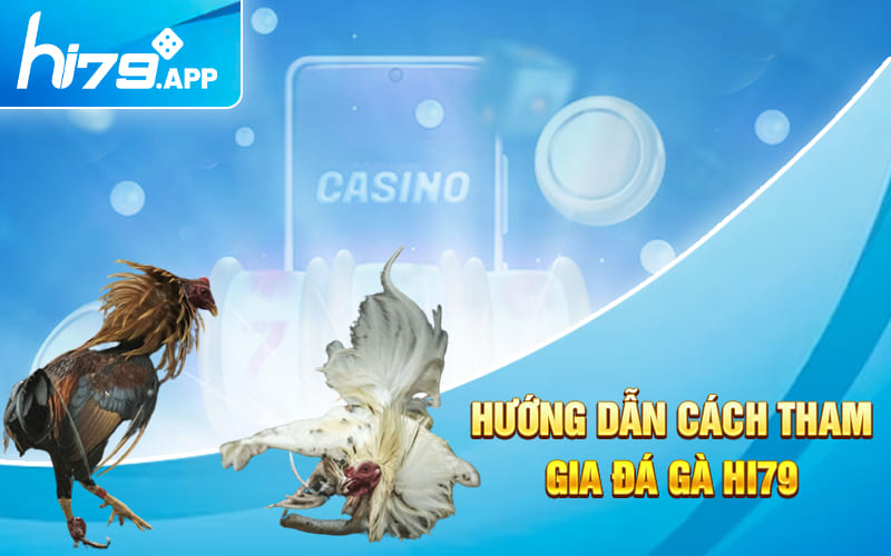 Đá Gà Hi79 - Sảnh Cược Cực Khét Với Tỷ Lệ Cược Siêu Cao 4 Hướng dẫn cách tham gia đá gà HI79