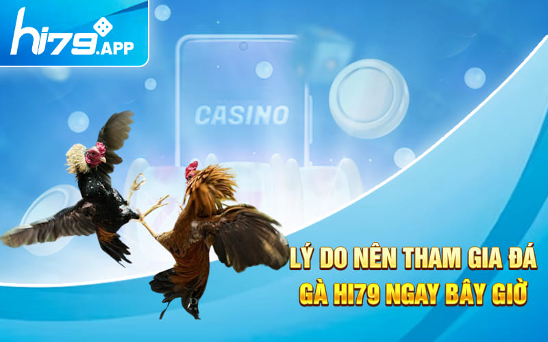 Đá Gà Hi79 - Sảnh Cược Cực Khét Với Tỷ Lệ Cược Siêu Cao 3 Lý do nên tham gia đá gà HI79 ngay bây giờ