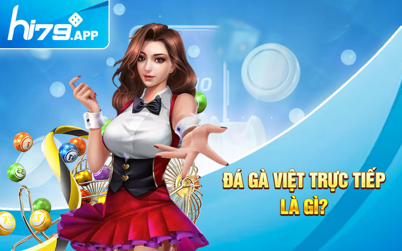 Xem Đá Gà Việt Trực Tiếp Không Bị Chặn Tại Hi79.app 2 Đá gà Việt trực tiếp là gì?