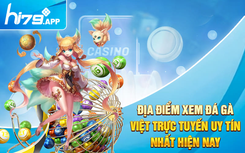 Xem Đá Gà Việt Trực Tiếp Không Bị Chặn Tại Hi79.app 3 Địa điểm xem đá gà Việt trực tuyến uy tín nhất hiện nay