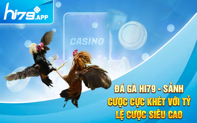 Đá Gà Hi79 - Sảnh Cược Cực Khét Với Tỷ Lệ Cược Siêu Cao 4 Đá Gà Hi79 - Sảnh Cược Cực Khét Với Tỷ Lệ Cược Siêu Cao