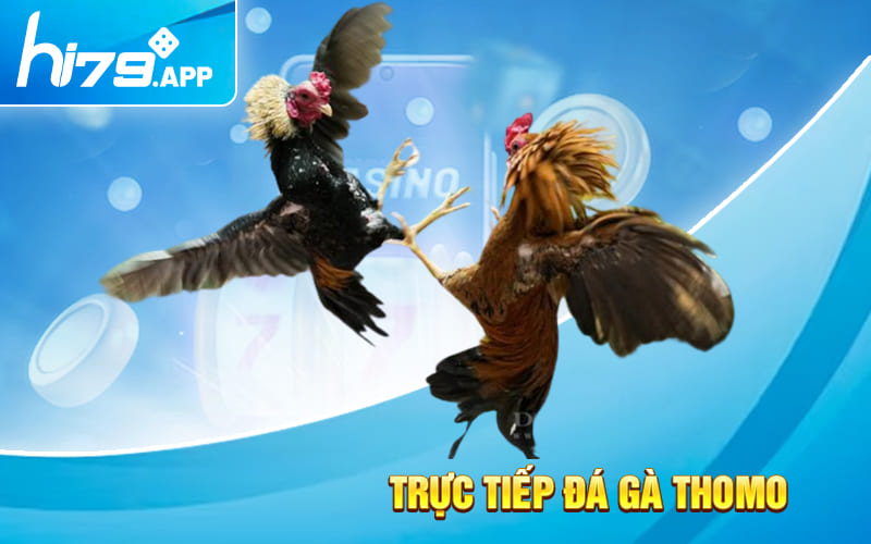 Trực Tiếp Thomo Các thông tin cần biết 2